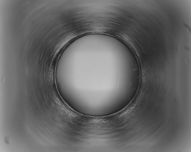 X0000102220835200808081315