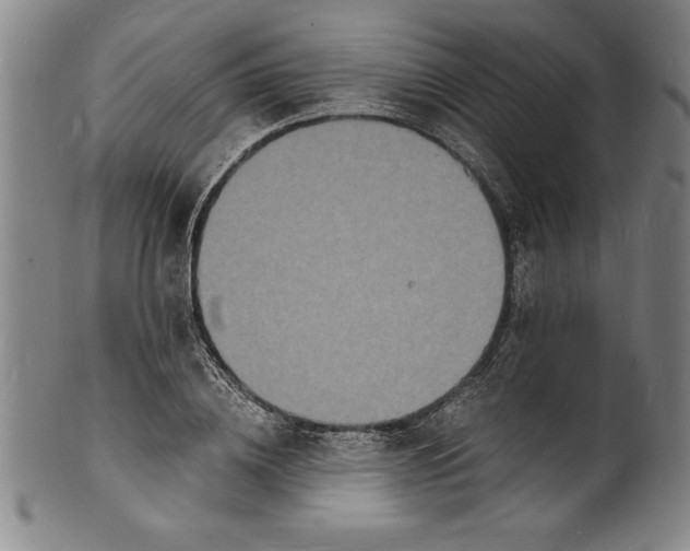 X0000102220836200808081315