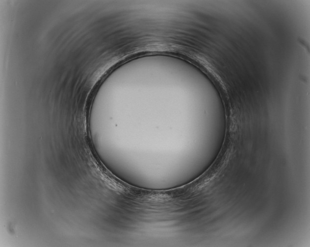 X0000102220837200808081315