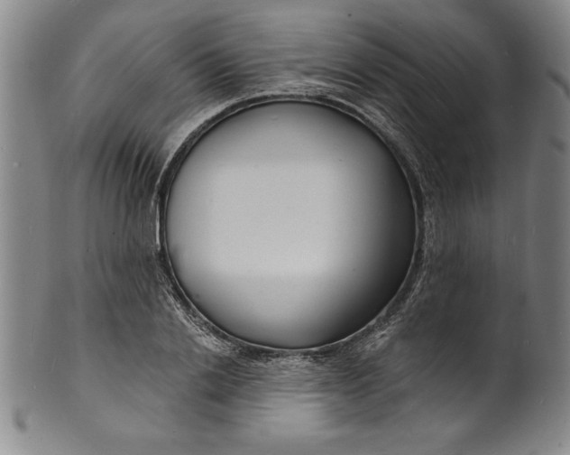 X0000102220838200808081315