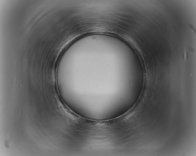 X0000102220839200808081315