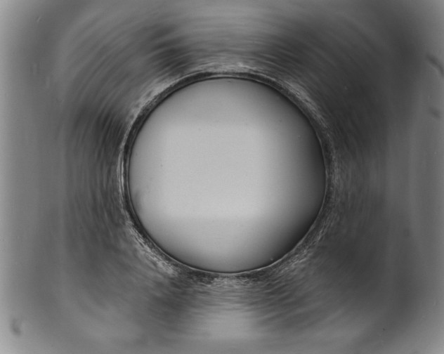 X0000102220840200808081315