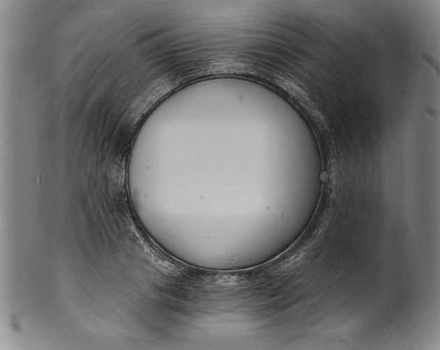 X0000102220841200808081315