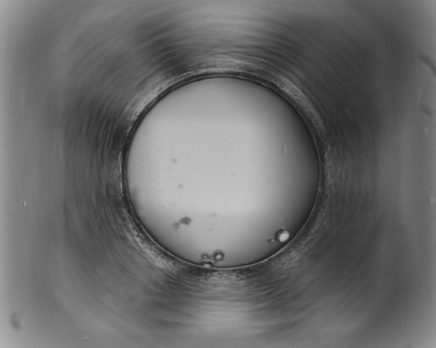 X0000102220842200808081315