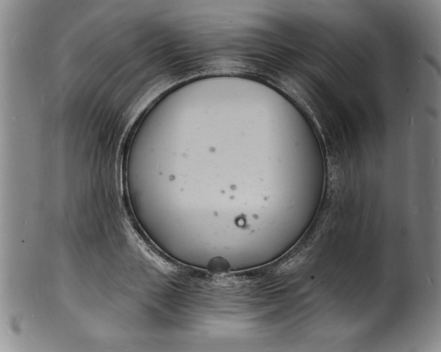 X0000102220843200808081315