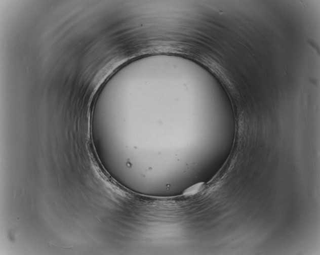 X0000102220844200808081315