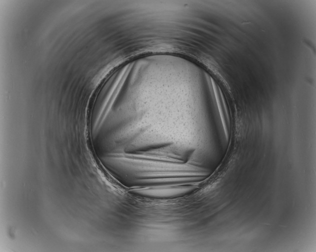 X0000102220845200808081315