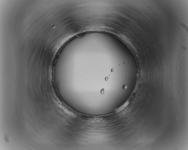 X0000102220846200808081315