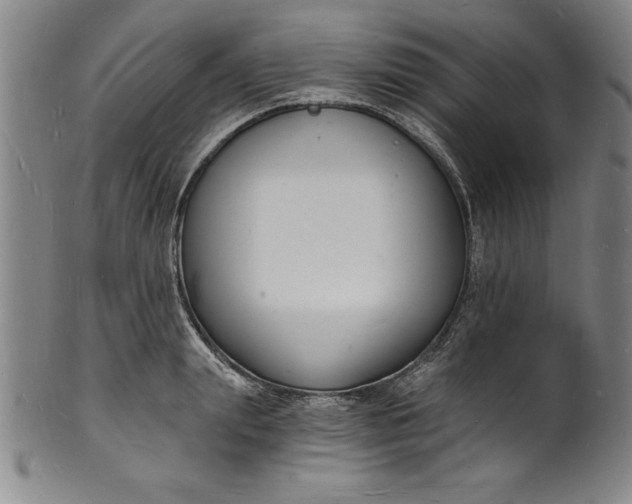 X0000102220847200808081315