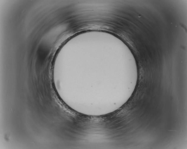 X0000102220848200808081315