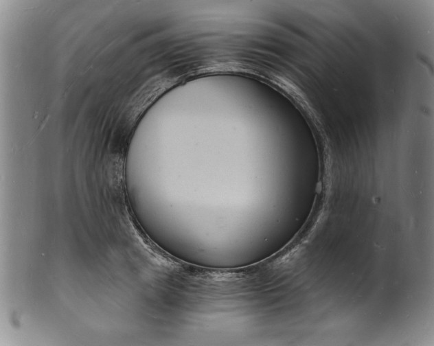 X0000102220849200808081315