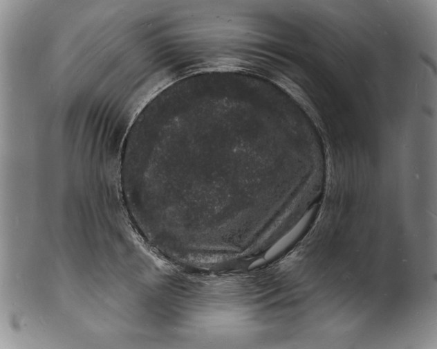 X0000102220850200808081315