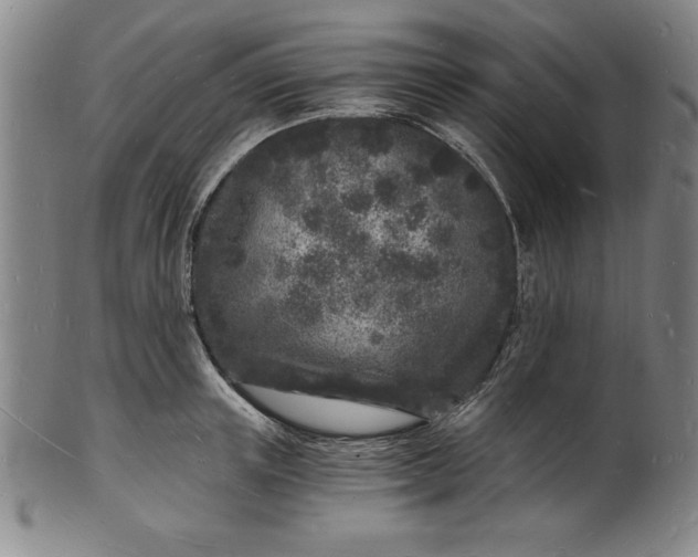 X0000102220851200808081315