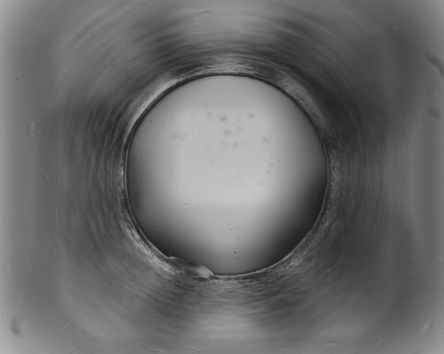 X0000102220852200808081315