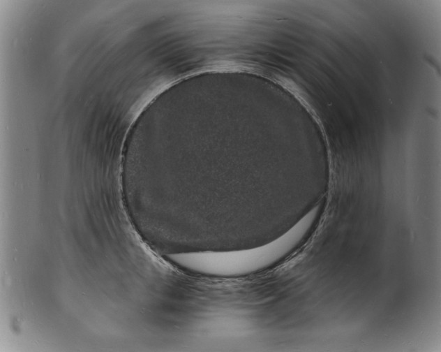 X0000102220853200808081315