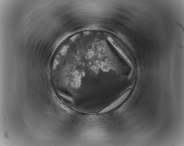 X0000102220854200808081315