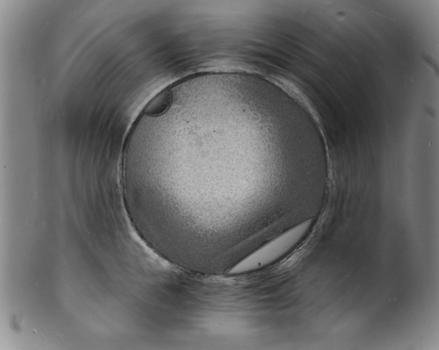 X0000102220855200808081315