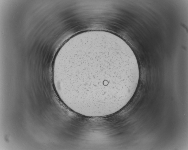 X0000102220856200808081315