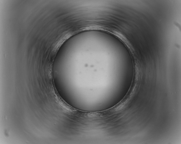 X0000102220857200808081315