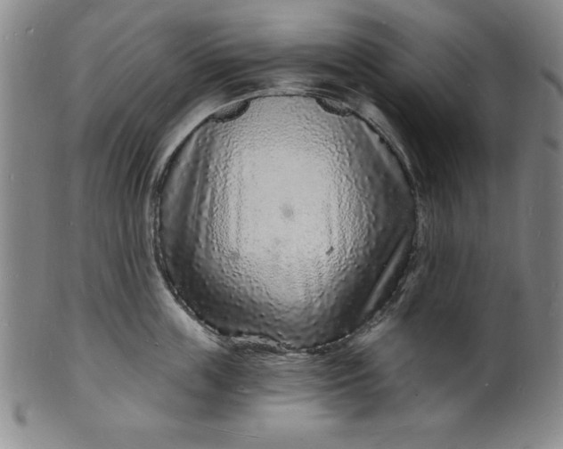 X0000102220859200808081315