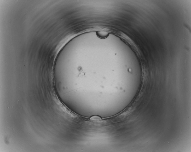 X0000102220860200808081315