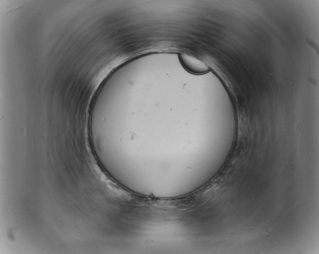 X0000102220861200808081315