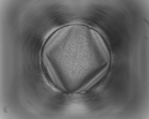 X0000102220862200808081315