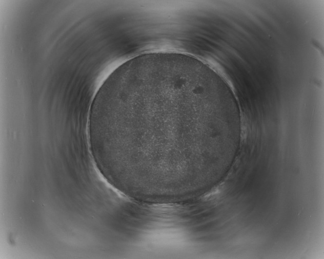 X0000102220863200808081315