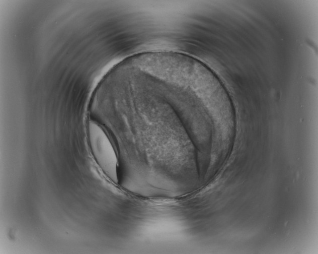 X0000102220864200808081315