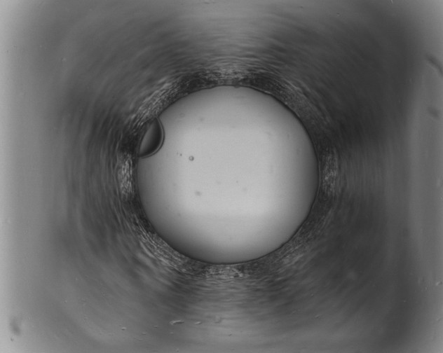 X0000102220866200808081314