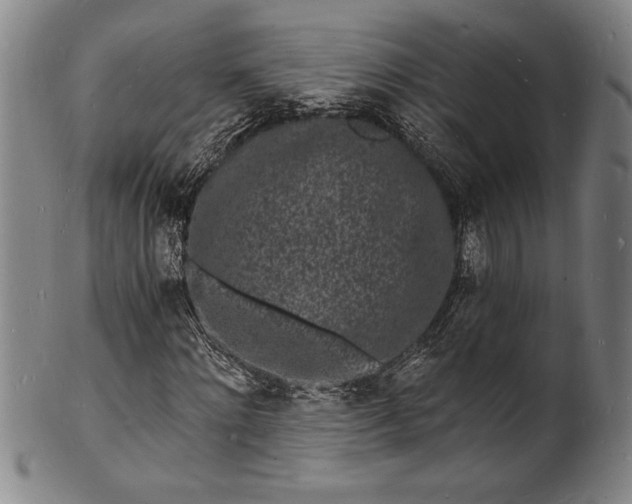 X0000102220868200808081314