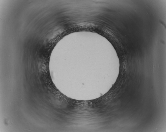 X0000102220869200808081314