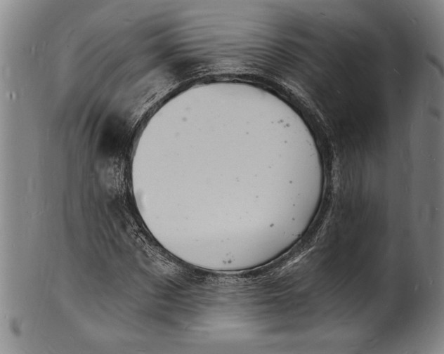 X0000102220873200808081314