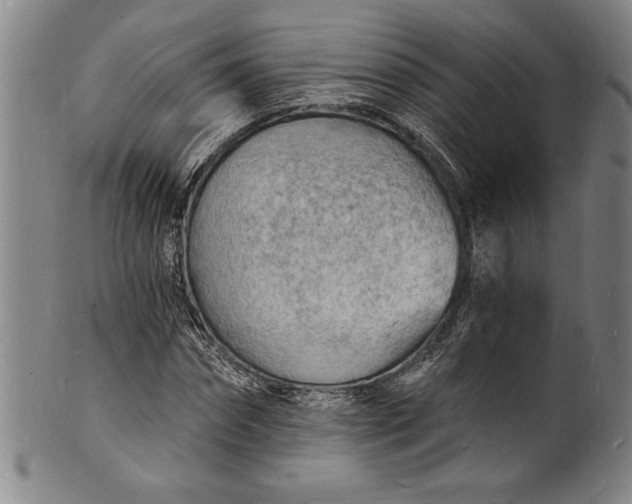 X0000102220874200808081314