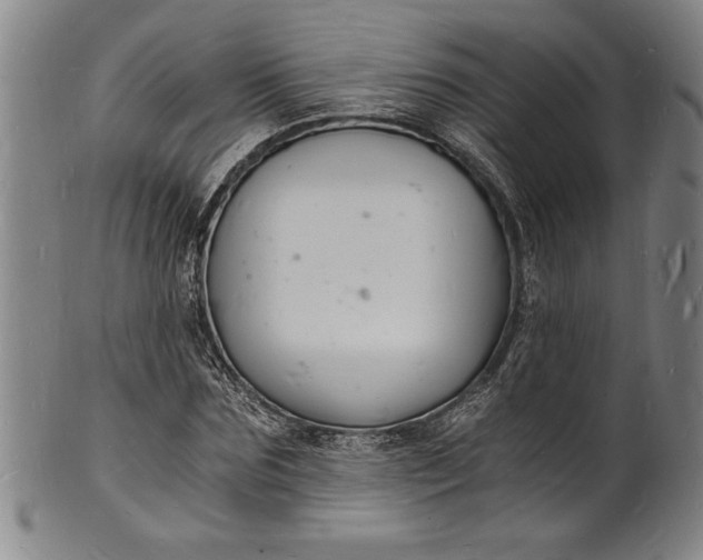 X0000102220875200808081314