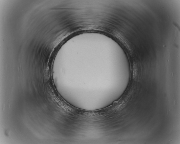 X0000102220876200808081314