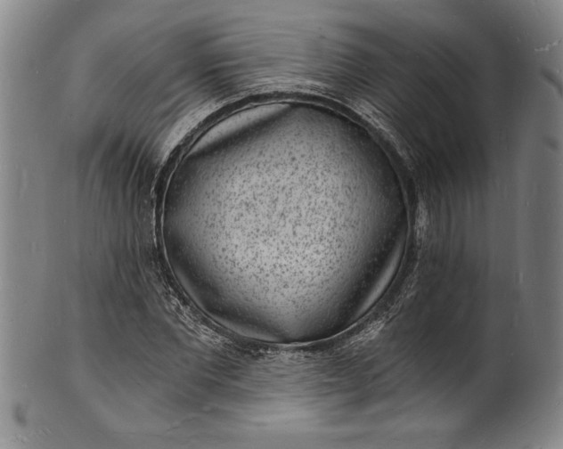 X0000102220877200808081314