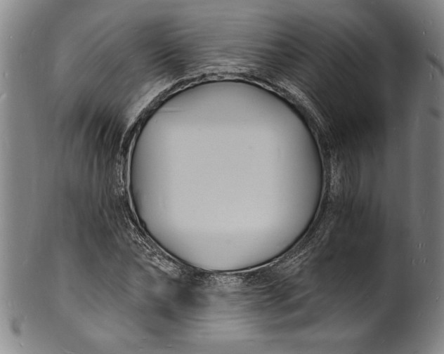 X0000102220878200808081314