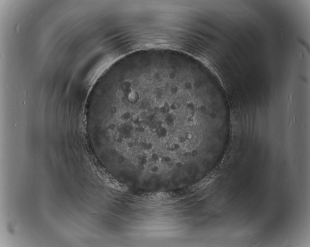 X0000102220879200808081314