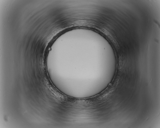 X0000102220880200808081314