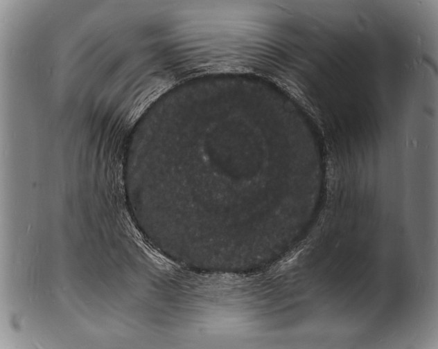 X0000102220881200808081314