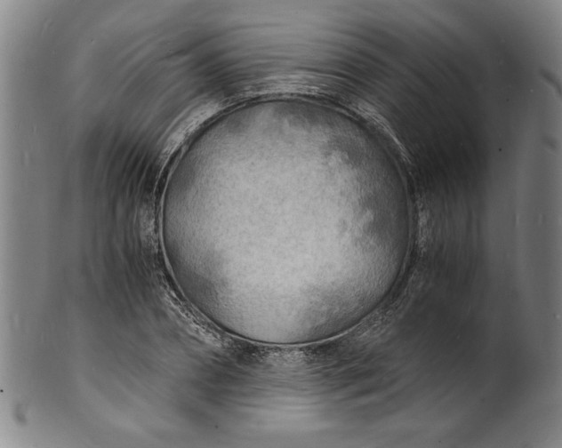 X0000102220882200808081314