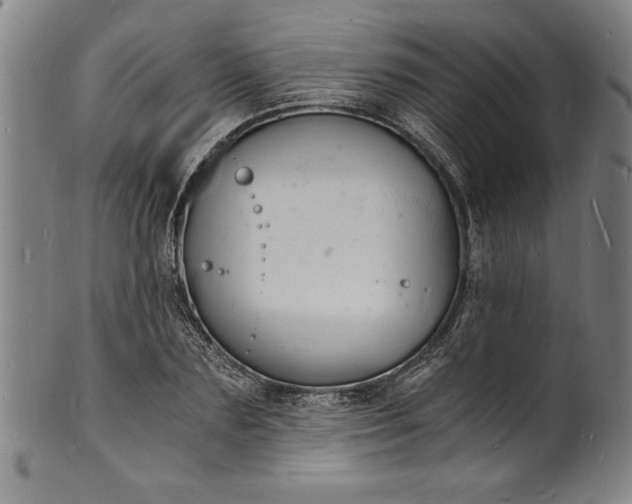 X0000102220883200808081314