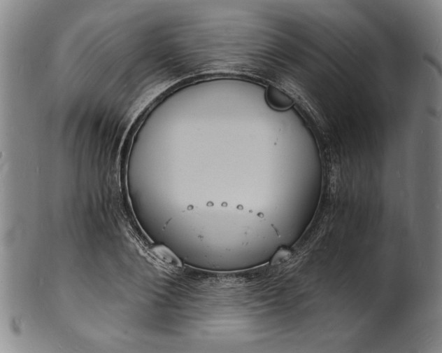 X0000102220884200808081314