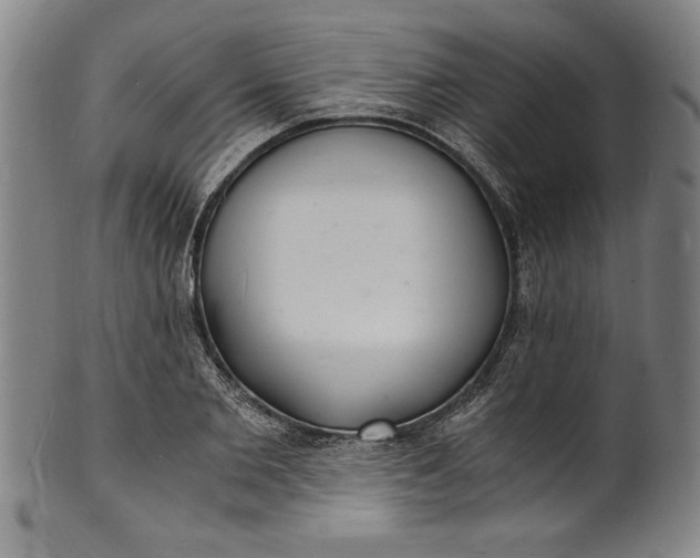 X0000102220885200808081314