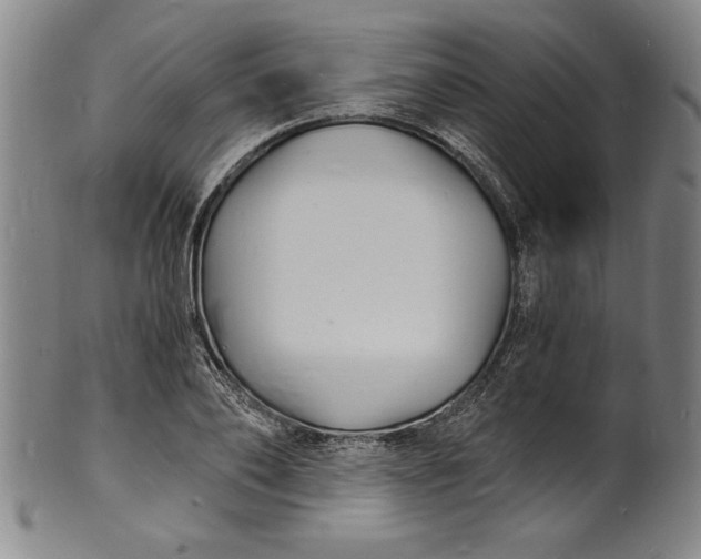 X0000102220886200808081314