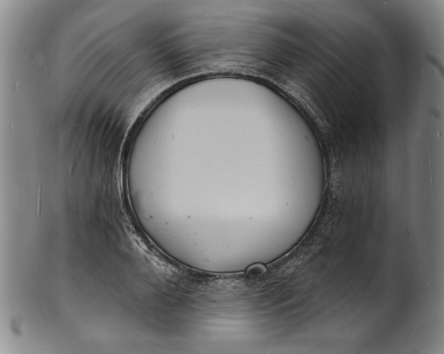 X0000102220888200808081314