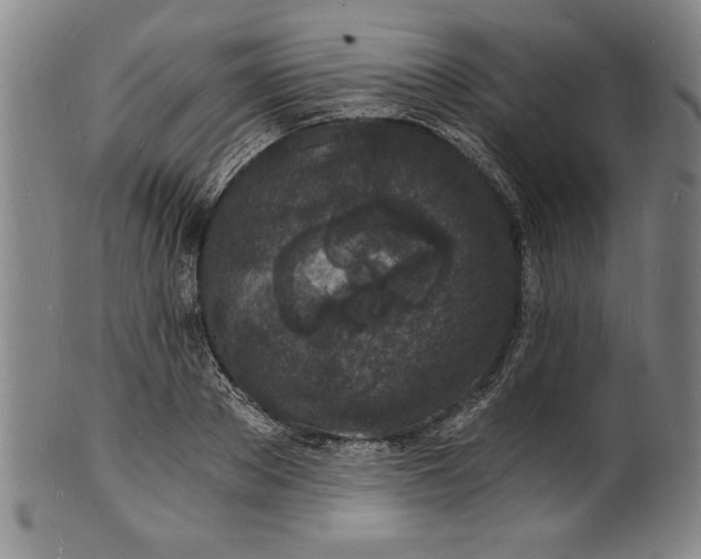 X0000102220889200808081314