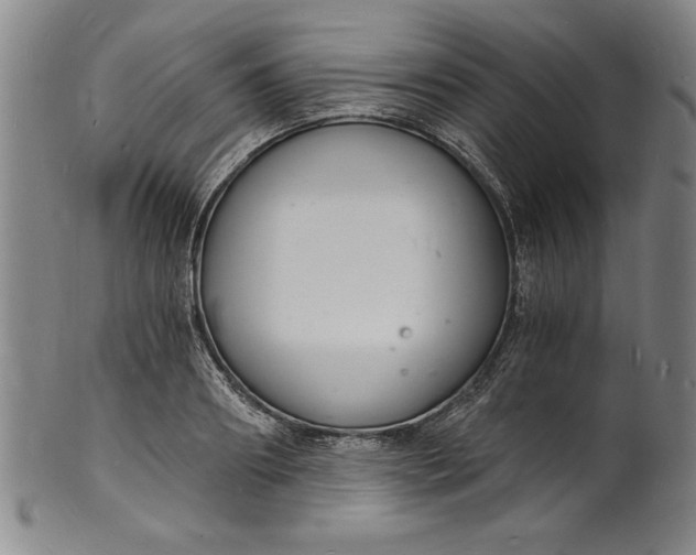 X0000102220890200808081314