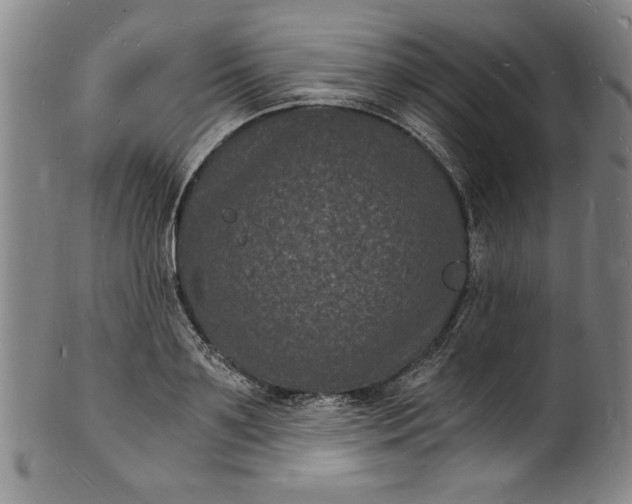 X0000102220891200808081314